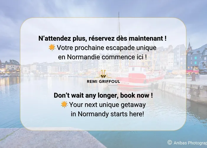 L'escale Du Vieux Port - 1st Floor - Airco * 翁弗勒尔